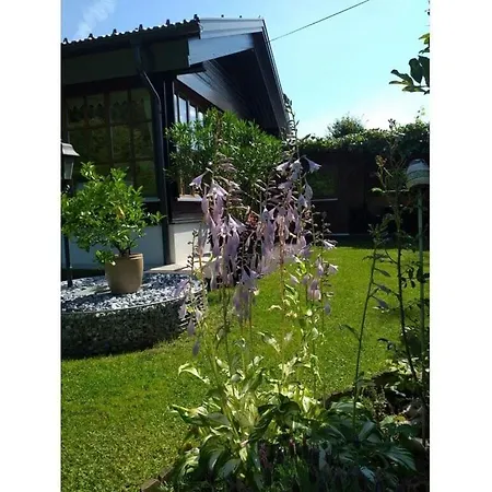 Kumpitsch Apartment Sankt Johann im Saggautal